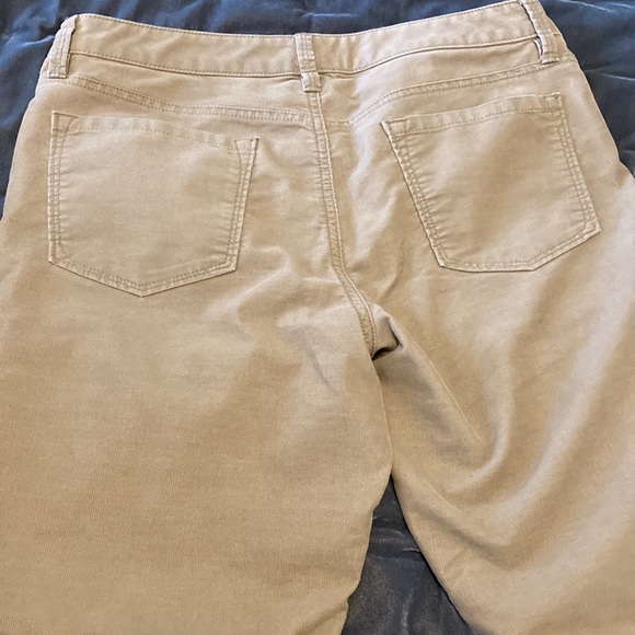 LOFT Corduroy Pants Modern Skinny Size 10 - Picture 3 of 6